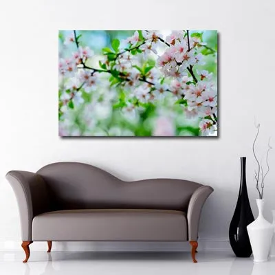 Apple Blossom Art Canvas