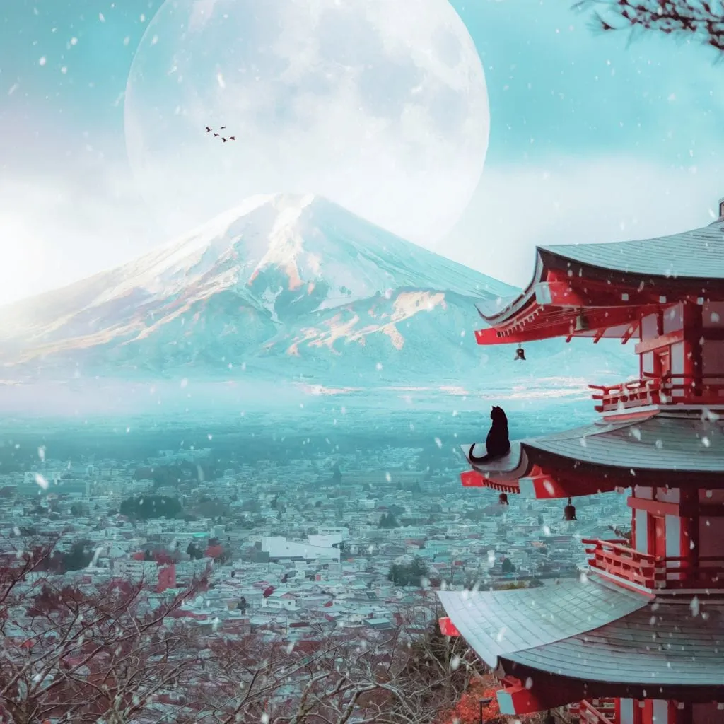 Black cat and Mount Fuji - Gen Z