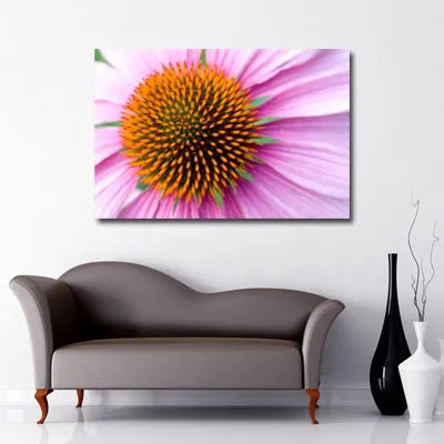 Gerbera Dream Art Canvas