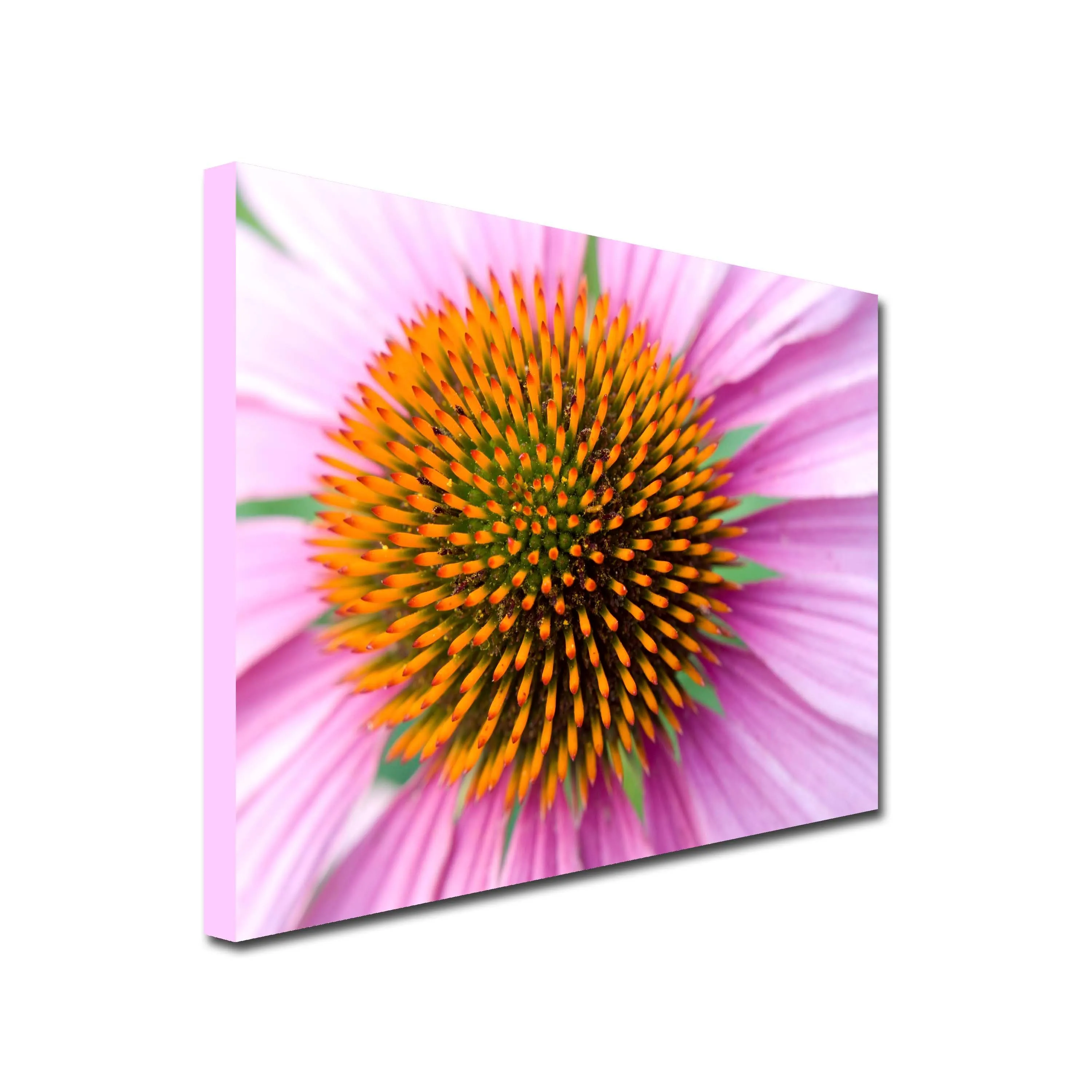 Gerbera Dream Art Canvas