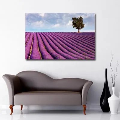 Lavender Savannah Art Canvas