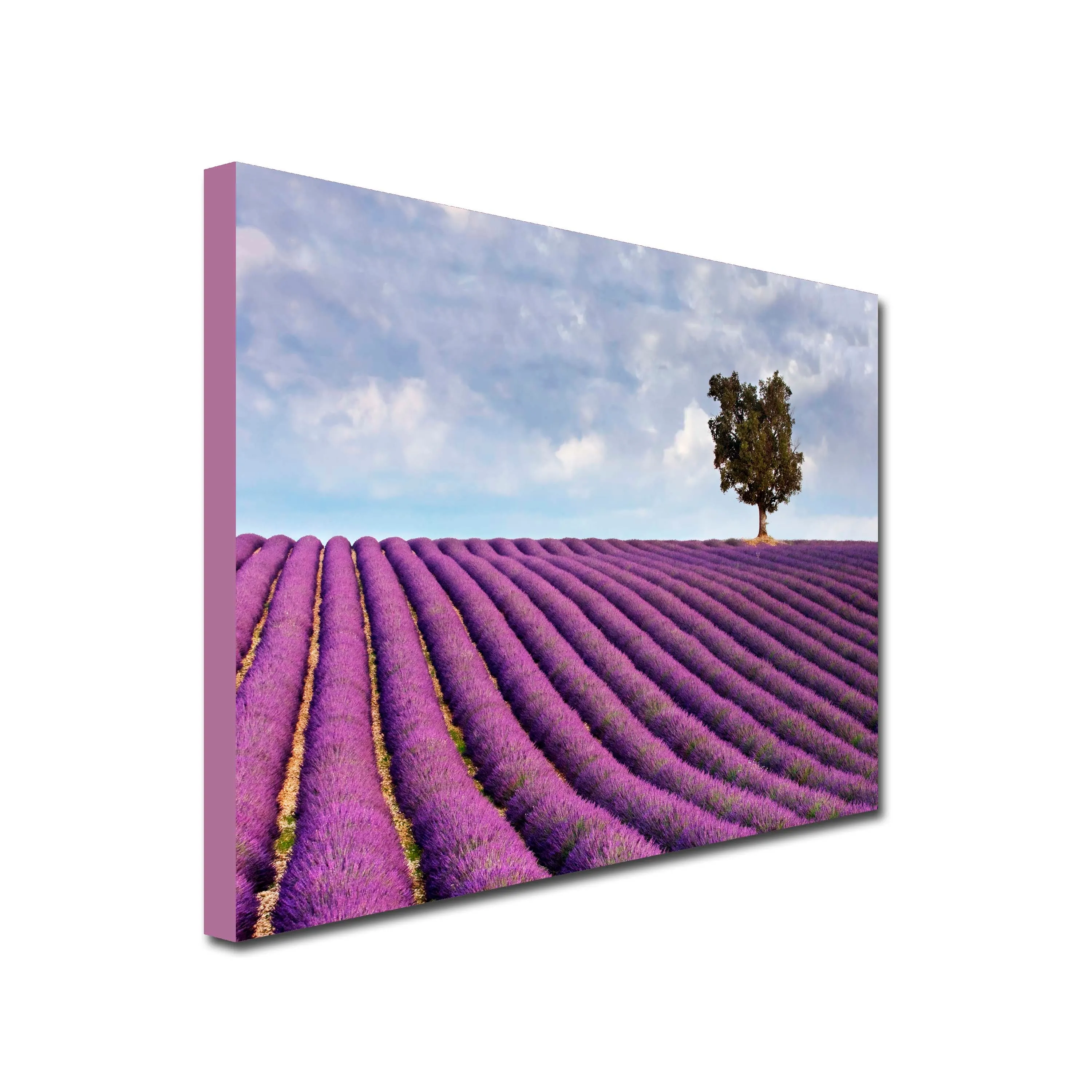 Lavender Savannah Art Canvas