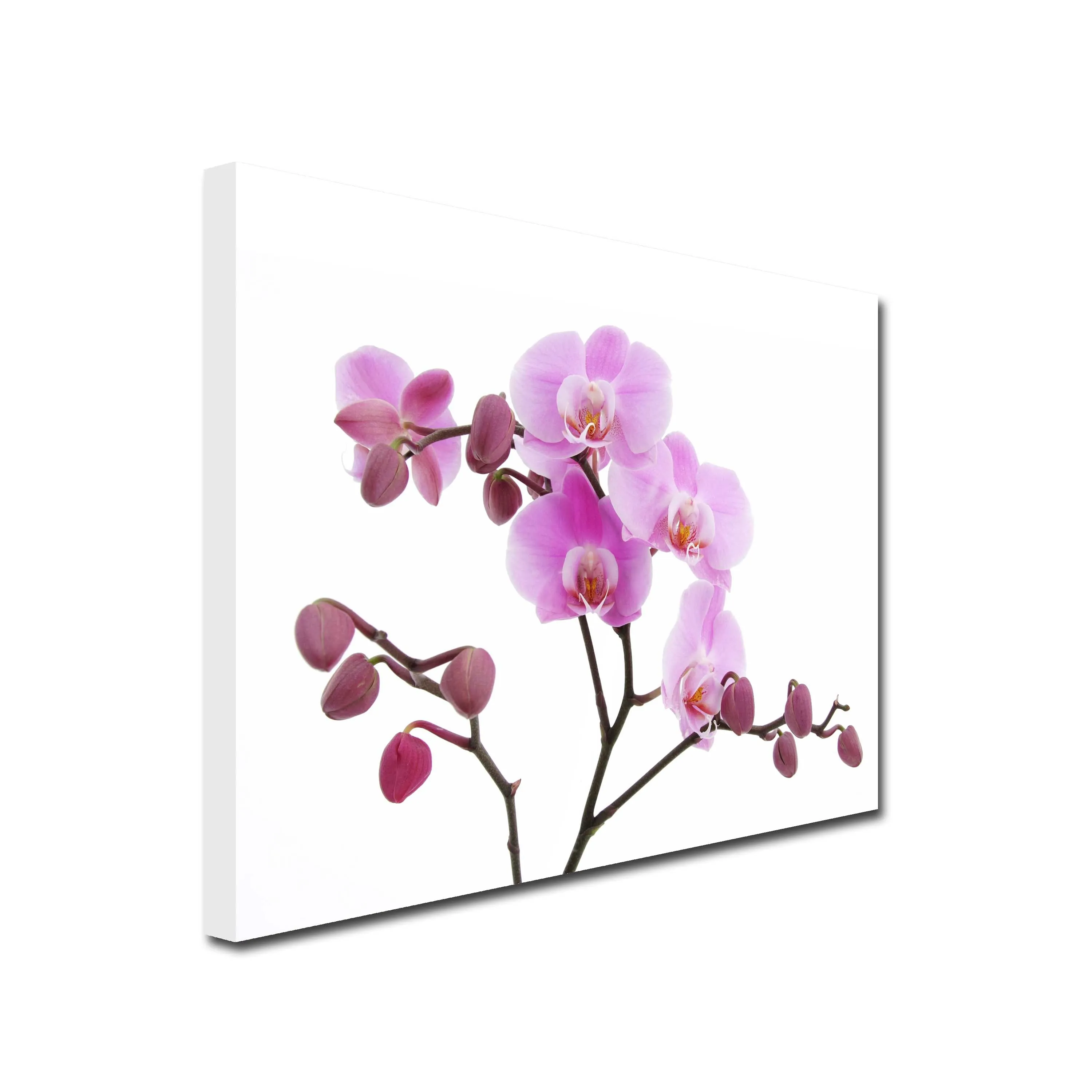 Lilac Orchid Art Canvas