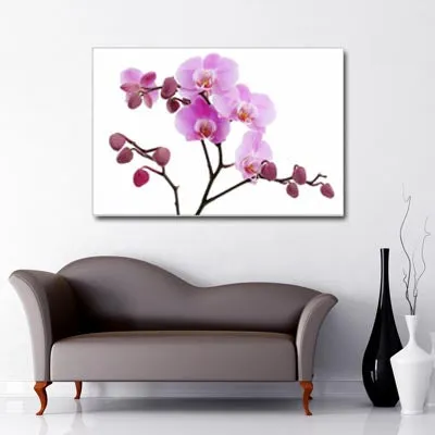 Lilac Orchid Art Canvas