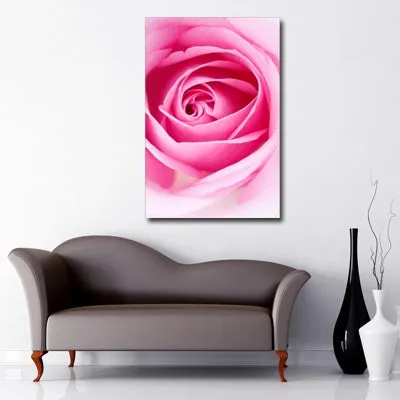 Pink Rose Art Canvas