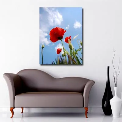 Poppy Sky Art Canvas