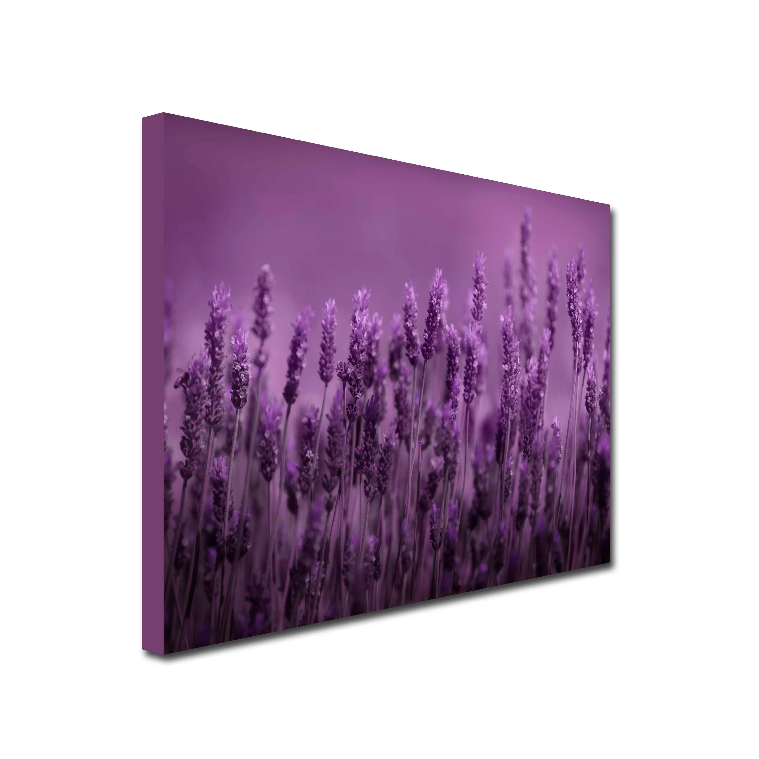 Purple Lavender Art Canvas