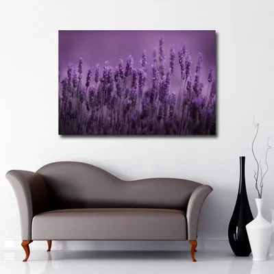 Purple Lavender Art Canvas
