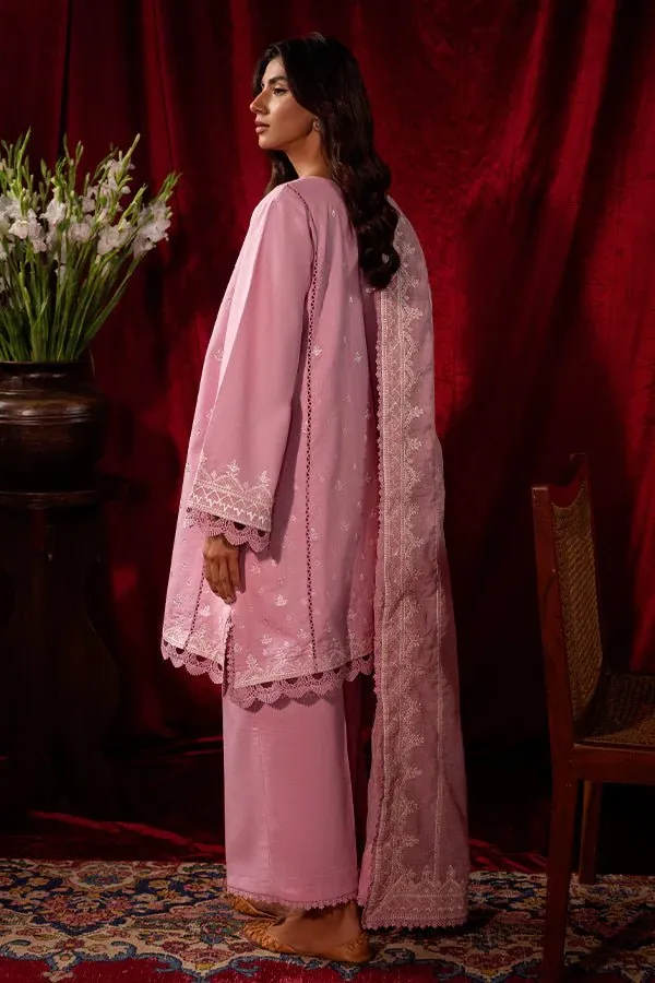 Saffron | Celestial Fall ‘24 | BLUSH BREEZE