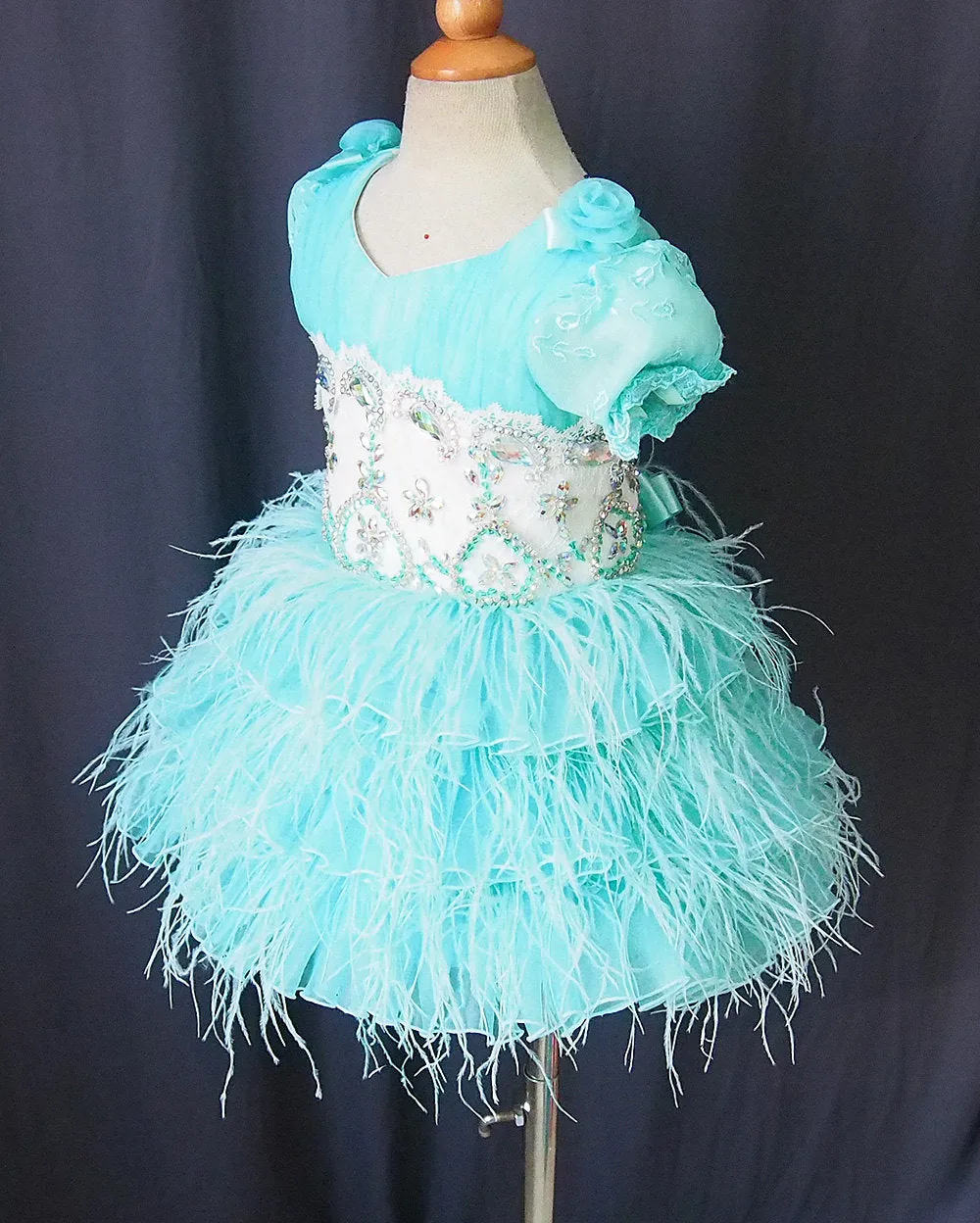 Toddler/Infant/Baby Miss/Baby Girl Pageant Dress