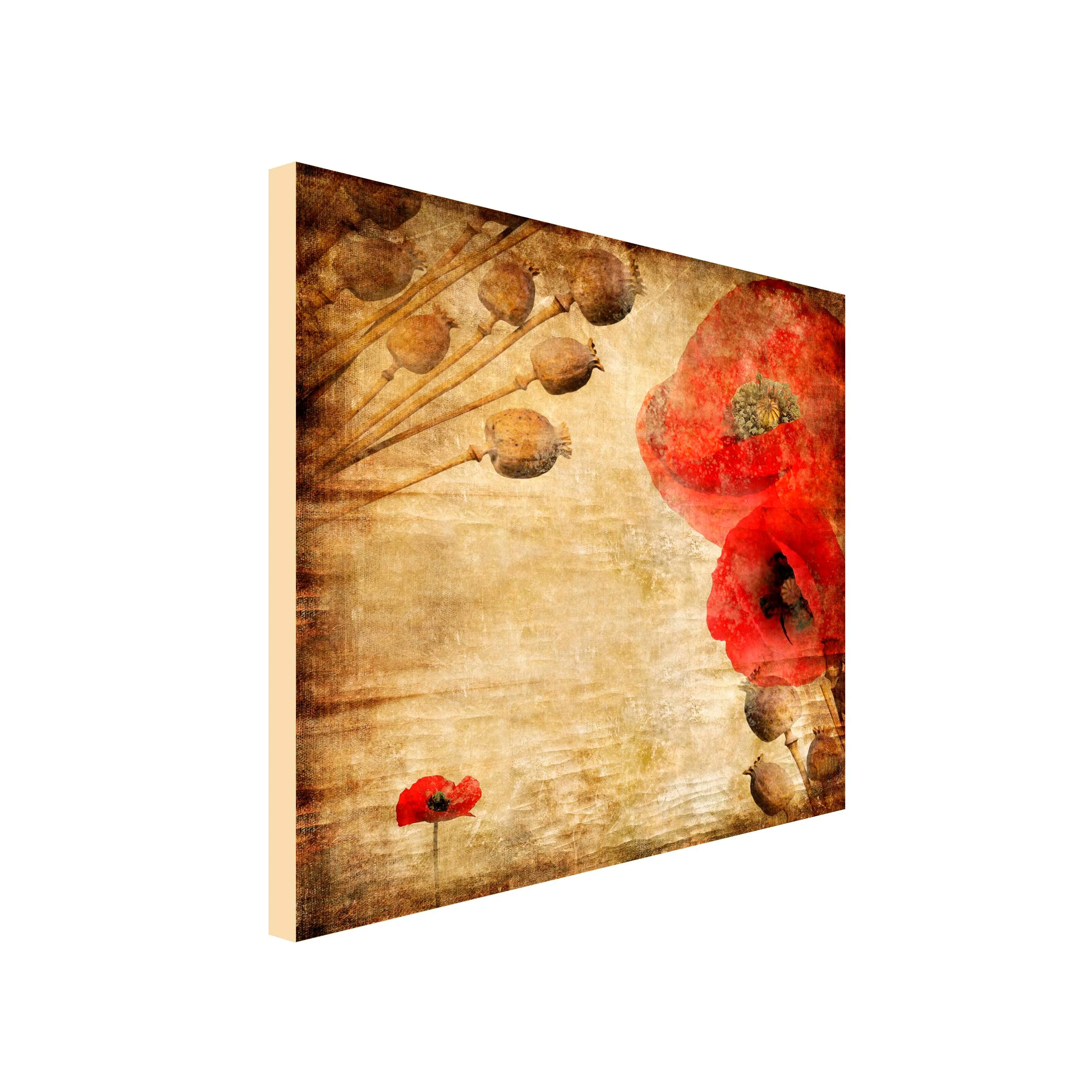 Vintage Poppy Art Canvas