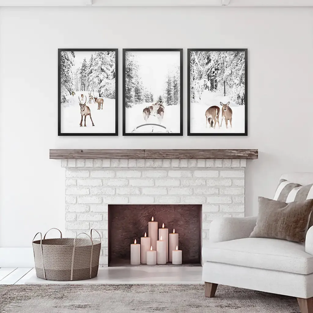 Winter Woodland Photo Set of 3. Fawn, Dog Sledding