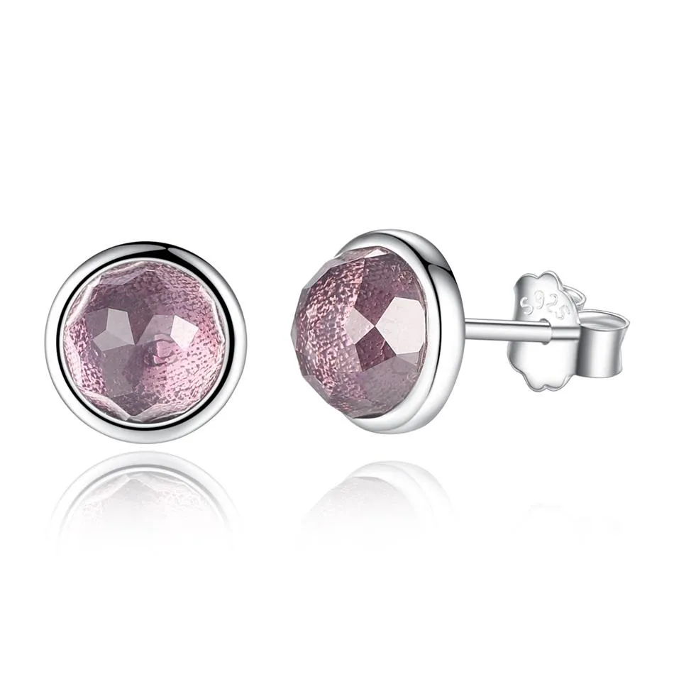 YE3137 925 Sterling Silver 12 Month 925 Silver Stud Earrings
