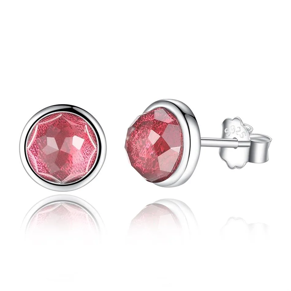 YE3137 925 Sterling Silver 12 Month 925 Silver Stud Earrings